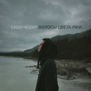 Волосы цвета лжи