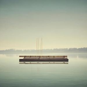 Reflection in Solitude