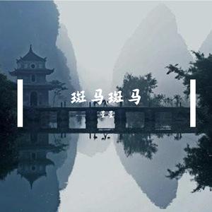 斑马斑马（抖音版）