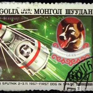 白昼燃烧的灰烬