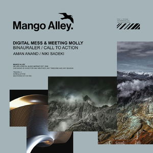 Binauraler (Aman Anand Remix)