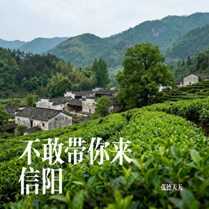 不敢带你来信阳