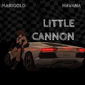 Little Cannon