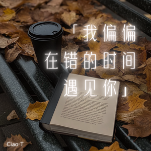 我偏偏在错的时间遇见你（烟嗓版）