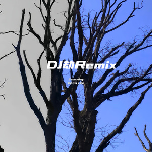 在风中释怀【完整版】