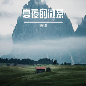 夏夜的微凉