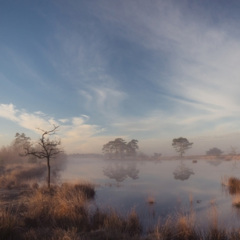 跟着感觉走 精神天天有