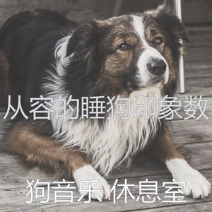 安静的可爱的狗声音