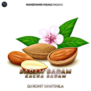 Badam Badam Kacha Badam