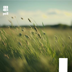 只有我还一个人等晚风