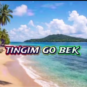 Tingim go bek