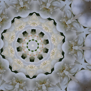 A precious gem of divine compassion