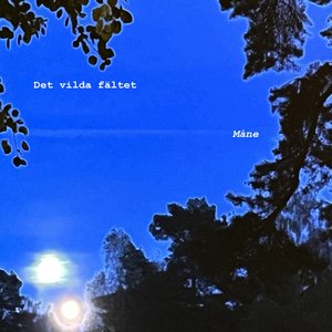 Döljer Dagens Skuggor