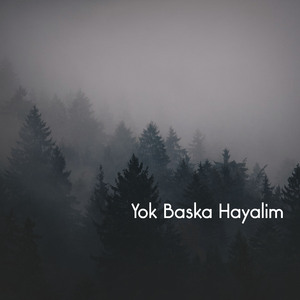 Yok Başka Hayalim 2.0