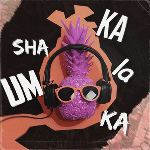Umshakalaka