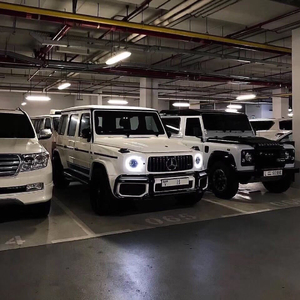 爱情里总有个人比较笨