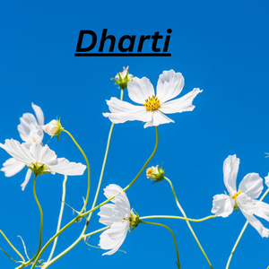 Dharti