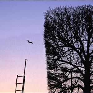 Watered Down Surprise