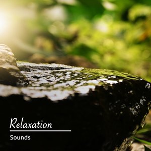 Calming Sea Shores