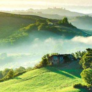 陶笛 | 爱尔兰画眉