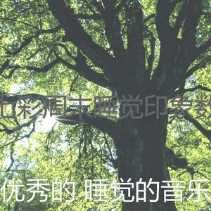 精彩做梦环境