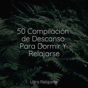 Abrazo Que Produce Calidez