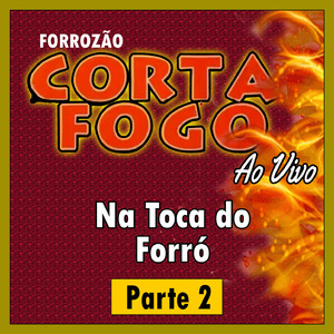 Tema de encerramento - Ao Vivo