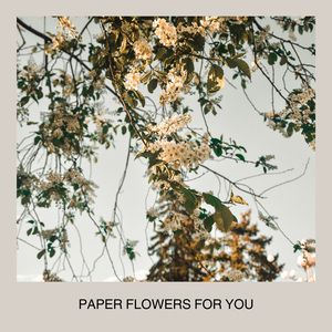 Paper Flowers For You