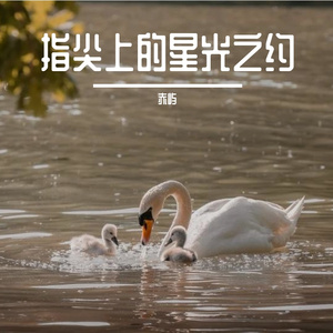 指尖上的星光之约 伴奏