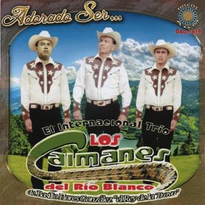 Mi gusto es