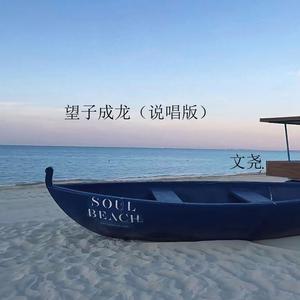 望子成龙 (说唱版)