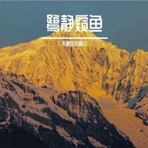 鹭静窥鱼