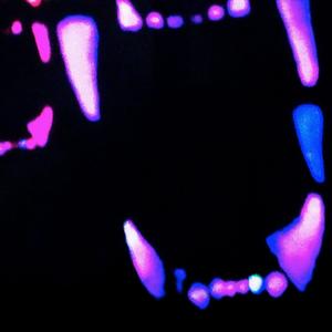 ハートブレークバンガロール