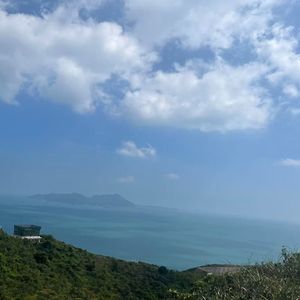 指引方向的梦幻旅程