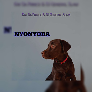 Nyonyoba(Original mix)