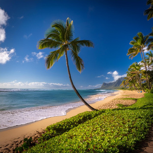 Serenidad En La Progresión