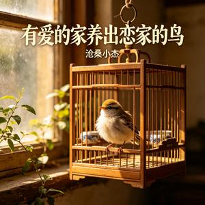 有爱的家养出恋家的鸟