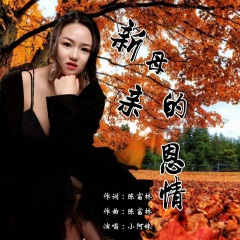 新母亲的恩情