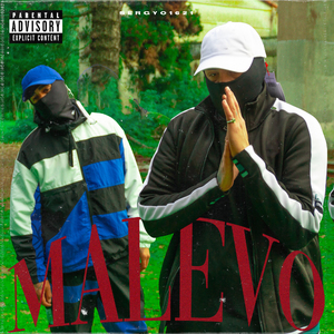 Malevo