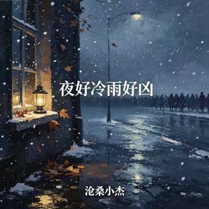 夜好冷雨好凶