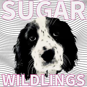 Sugar