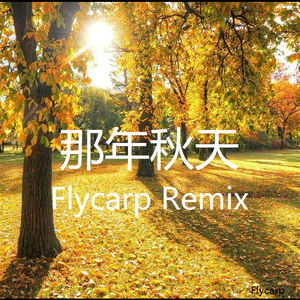 Tillusion-那年秋天（Flycarp remix）
