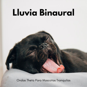 Ondas De Un Bigote Tranquilo