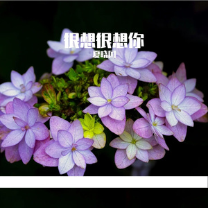 很想很想你