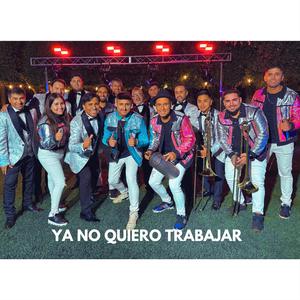 Ya no Quiero Trabajar (feat. Sonora Juventud de Peumo)