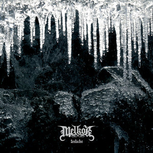 Die Welle erneuert sich