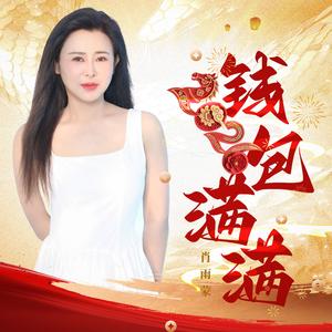 2026钱包满满（DJ月之歌版）