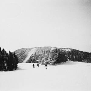 Mitchie SandTan Color Works