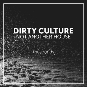 Not Another House (Bass Tool Version)