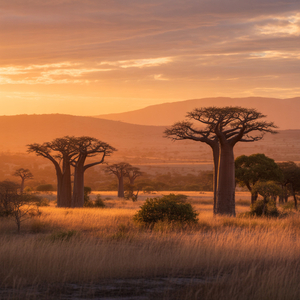 판단의 기준을 버리며